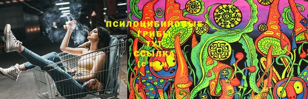 трава Абдулино