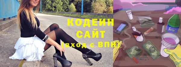 хмурый Абаза