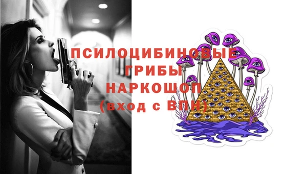 хмурый Абаза