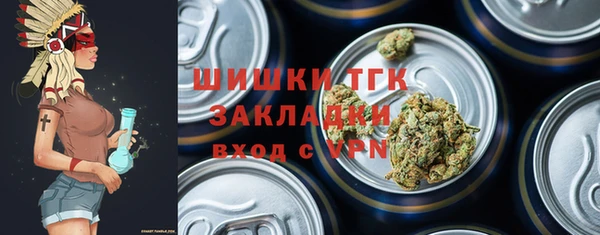 хмурый Абаза