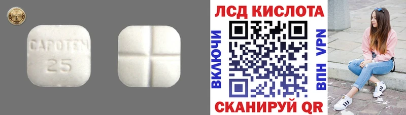 Лсд 25 экстази ecstasy  omg как войти  Фокино  даркнет сайт 